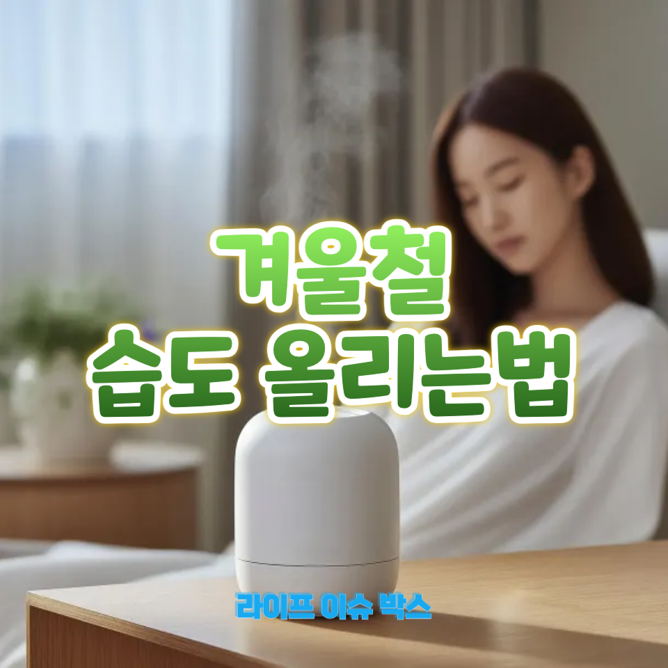 겨울철 습도 올리는법