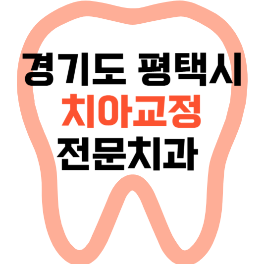 경기도 평택시 치아교정 치과 잘하는 곳 전문 치과 추천 가격 비용.png
