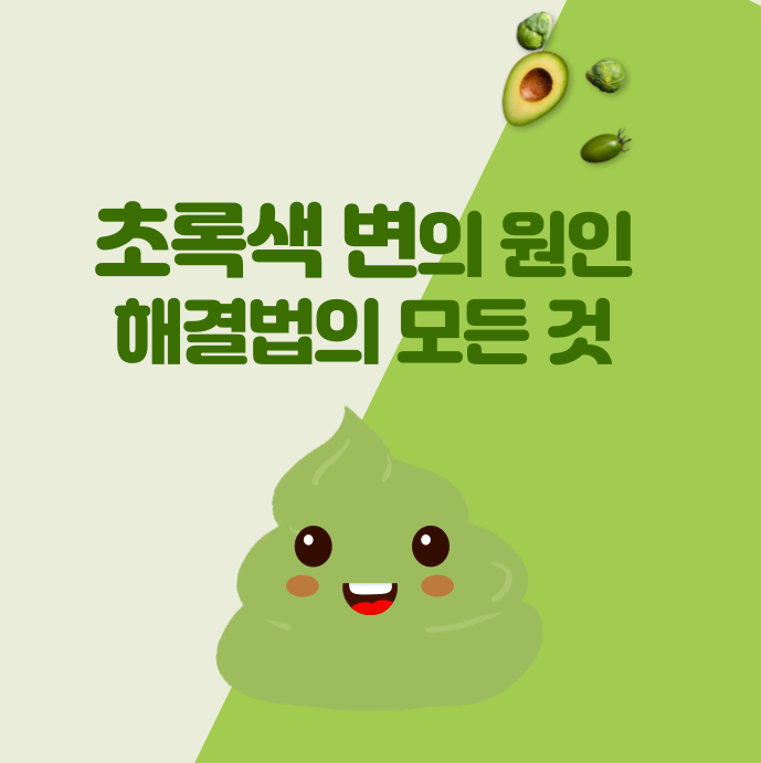 초록색 변의 원인과 해결법의 모든 것 설명 사진