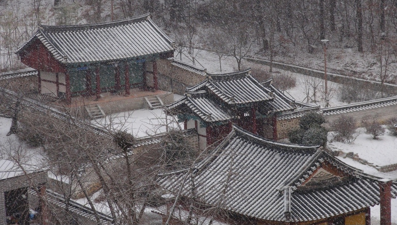 조선의 지혜, 오늘을 살리는 법 : 한국 전통 생활 지혜의 현대적 재해석