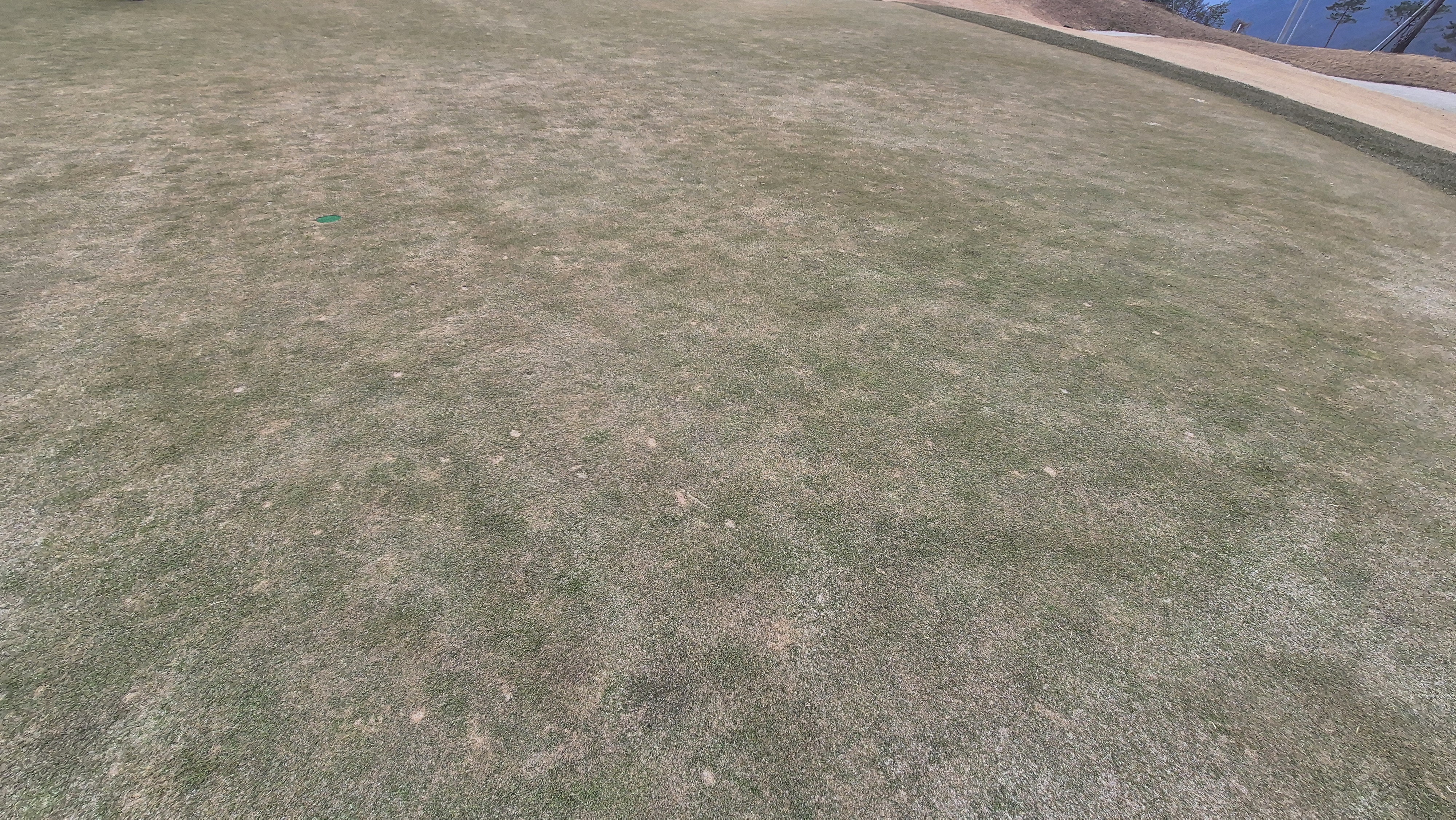 모나크cc 라운드 후기 그린관리상태