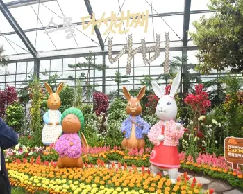 함평 나비축제_12