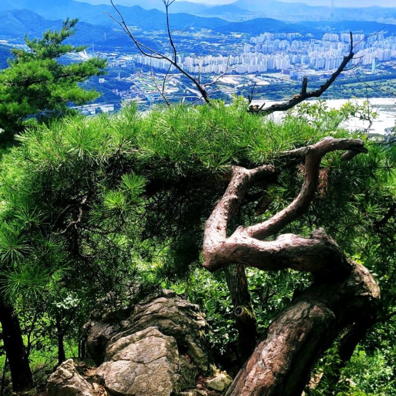 예봉산