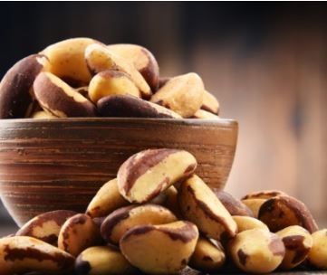 브라질너트 효능