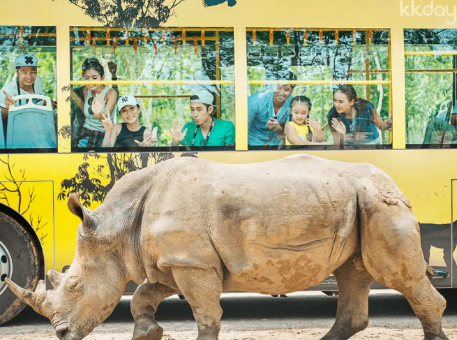 kkday 9월 할인코드 모음, 제주 렌트카 최저가 예약방법 (~09.30), 베트남 여행 할인입장권 BEST 05 추천