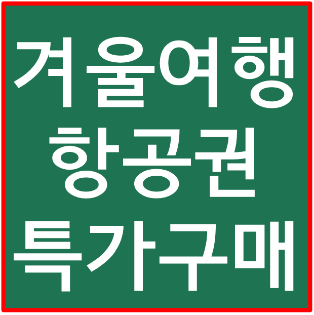 겨울여행 항공권