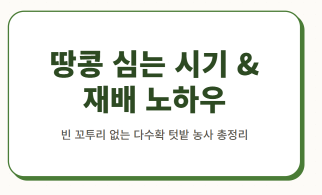 땅콩 심는시기