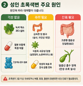성인-초록색변-복통-원인-설사-냄새-췌장