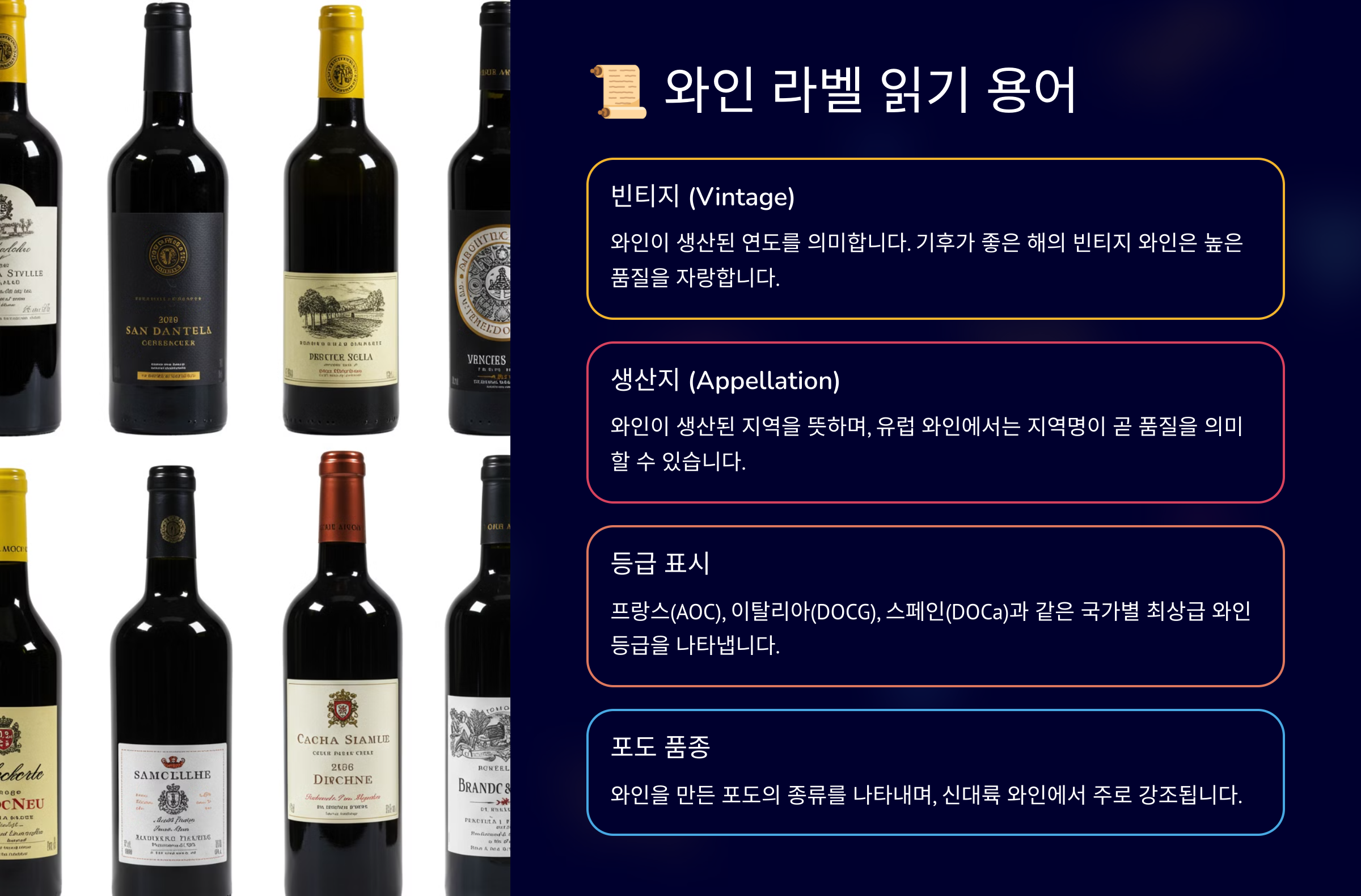 와인 라벨 읽기 용어