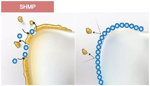 클라이덴-미백치약-효과
