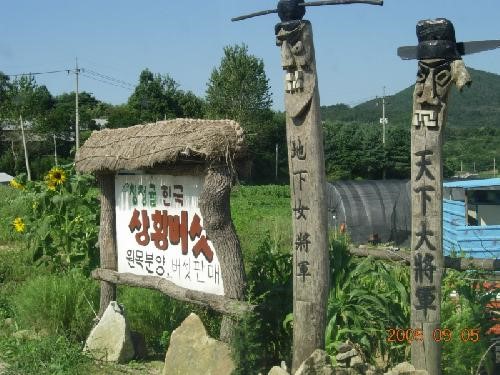 청정골 한국 상황버섯 원목분양 버섯판매 입구