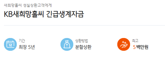 KB국민은행 새희망홀씨 긴급생계자금 지원