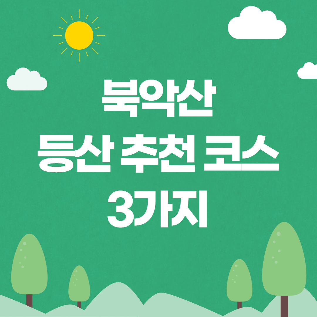 청와대개방
