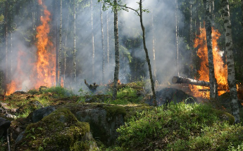 보건증 검사항목 쉽게 정리 1