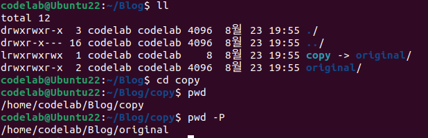 pwd 옵션