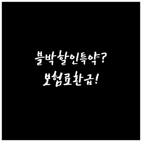 블랙박스 할인 특약 등록하면 보험료 ..