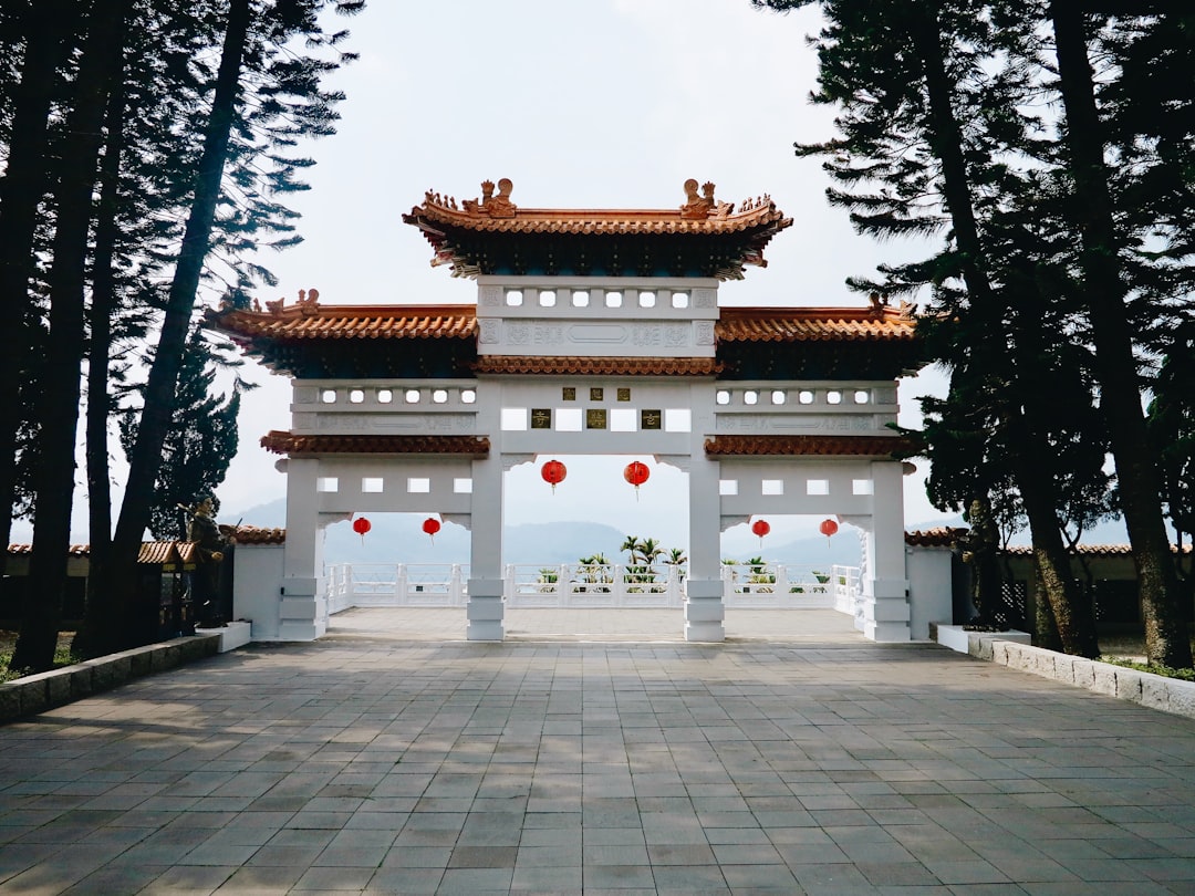 DAO