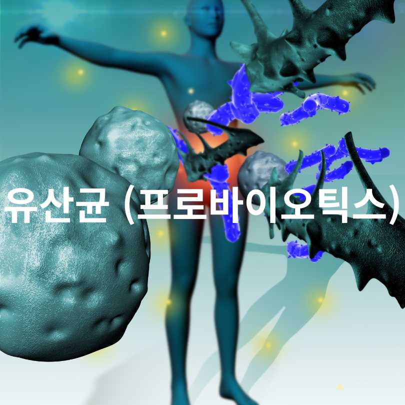 면역력 높이는 영양제 추천