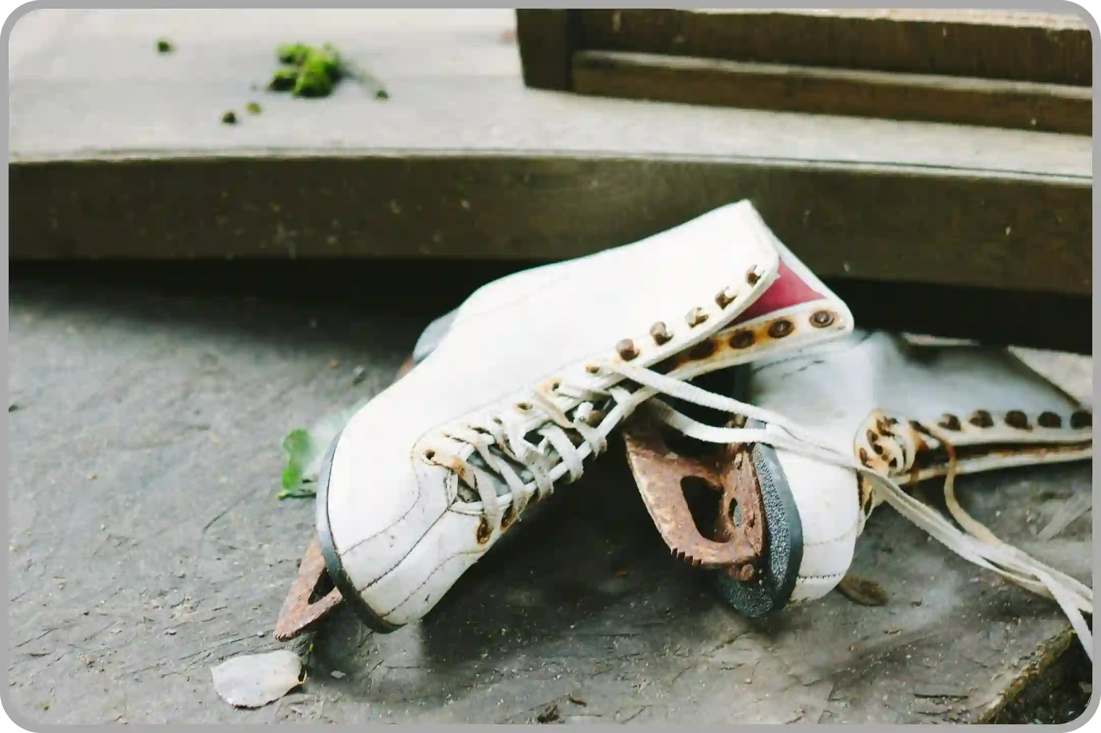 쇼트트랙 국가대표 명단 월드컵 월드 투어 최민정 김길리 박지원