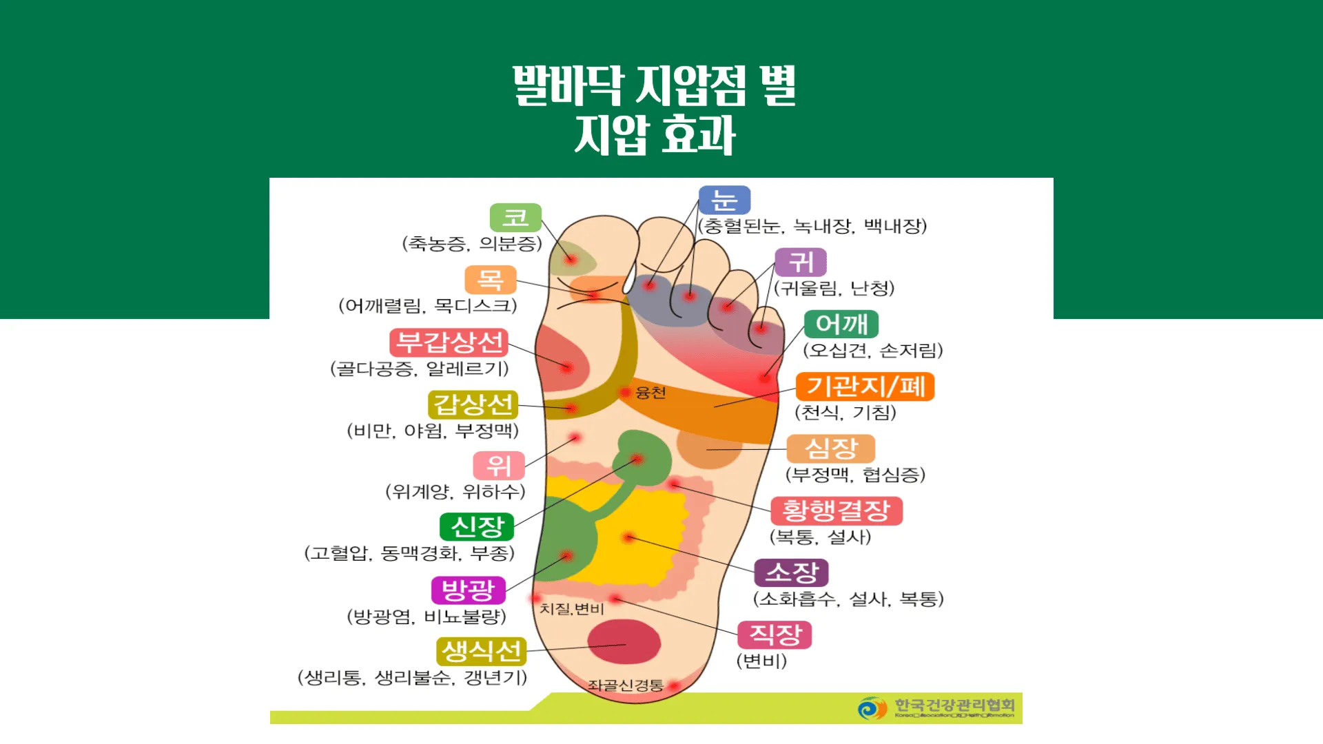 발바닥 지압점 별 지압 효과