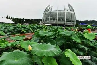 무안 가볼만한곳 베스트10 현지인 추천 필수코스_14