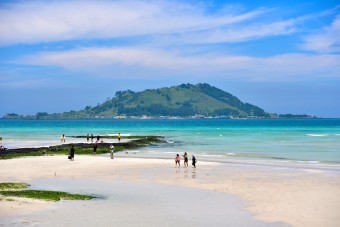 여름 바다 추천