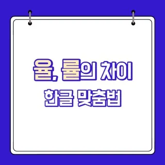 율 률 맞춤법 완벽정리 합격률 합격율_19