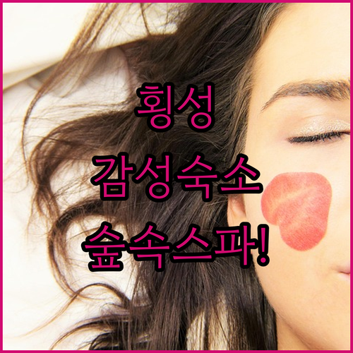 횡성 힐링 여행을 위한 감성 숙소와 ..