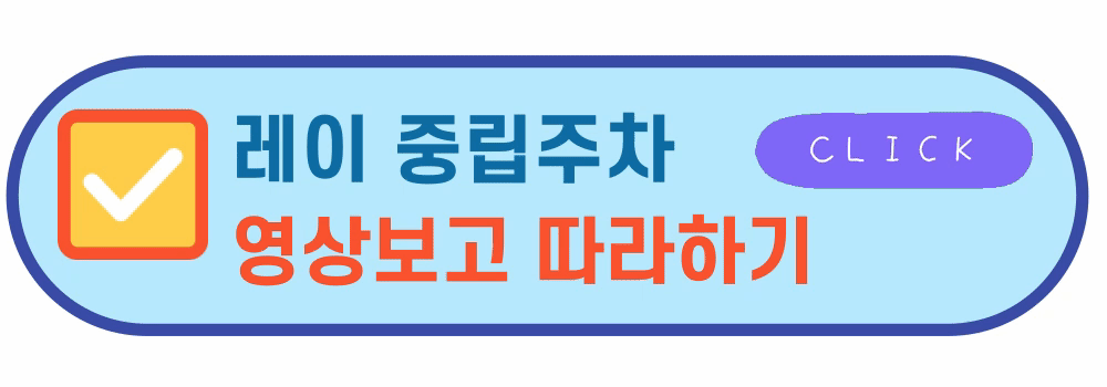 레이중립주차영상