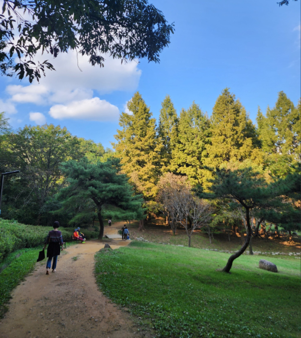 황톳길 맨발걷기 효능