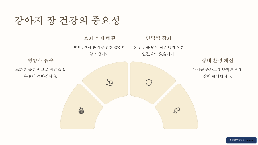 강아지 장 건강 영양제 추천 TOP5
