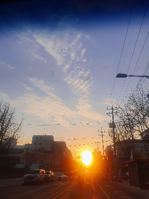 초보 운전자가 자주 놓치는 자동차 관리 꿀팁