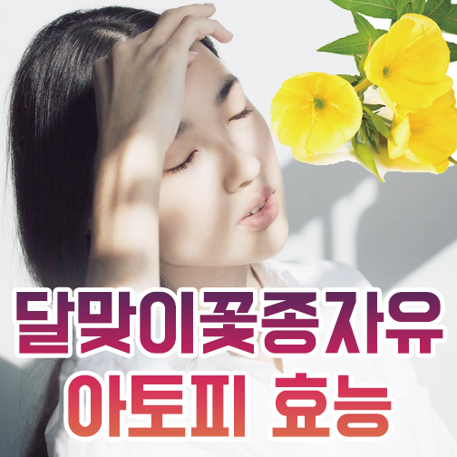 달맞이꽃 종자유 효능 확인하기