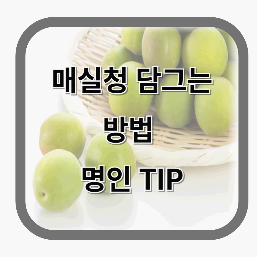 매실청 담그는 방법과 홍쌍리 명인 꿀팁