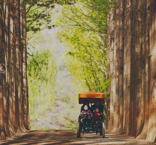 남이섬 엑티비티 