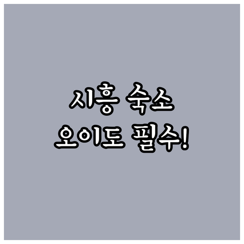 시흥 오이도 중심거리 1박 2일 여행..