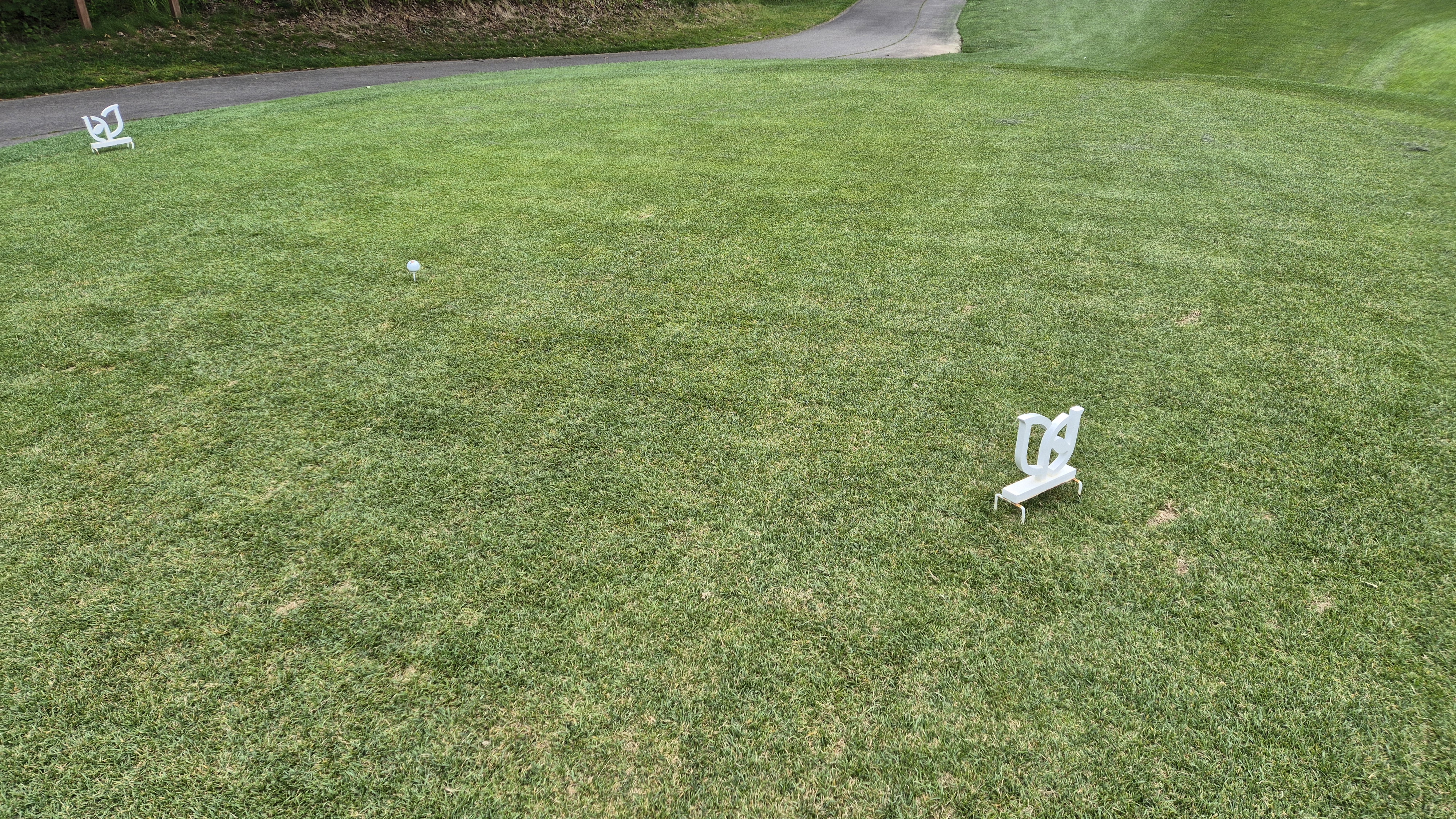 파인리즈cc 라운드 후기