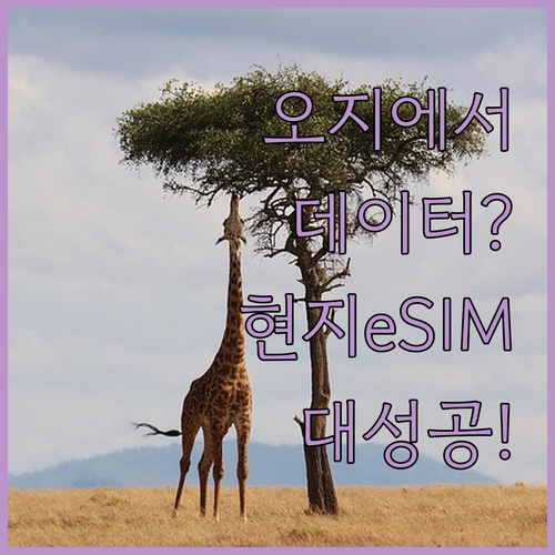 아프리카 보츠와나 오지 여행 데이터 ..