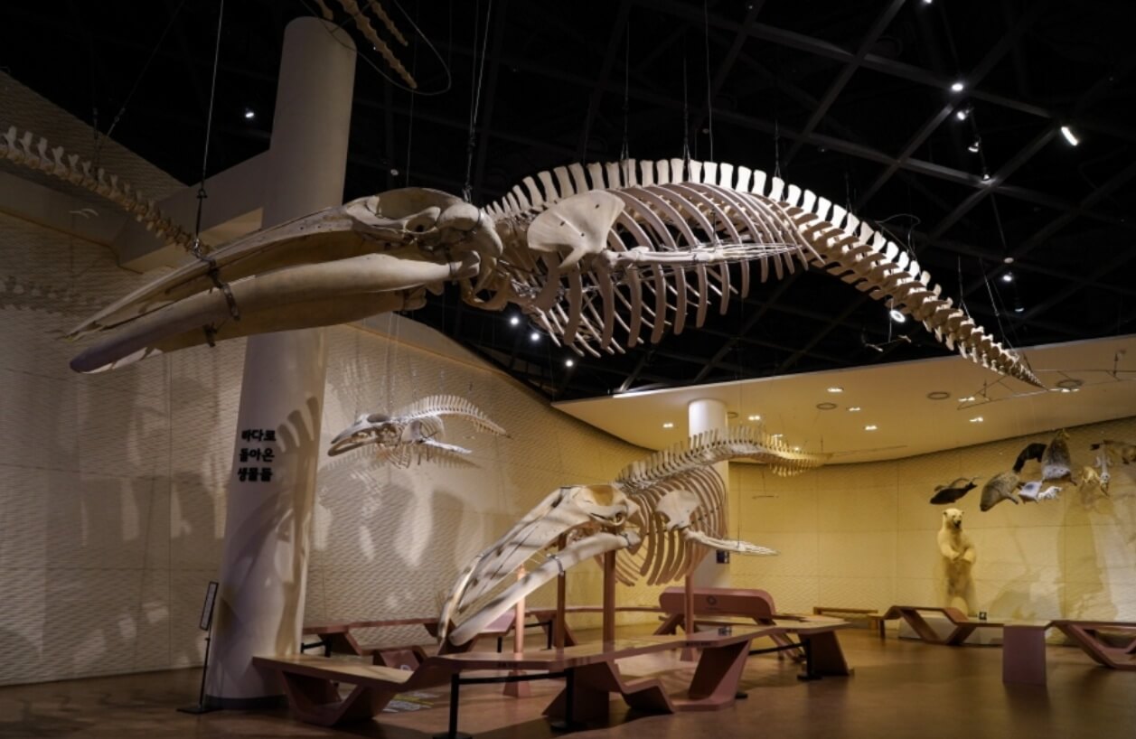 서천 가볼만한곳 베스트10 국립해양생물자원관(씨큐리움)