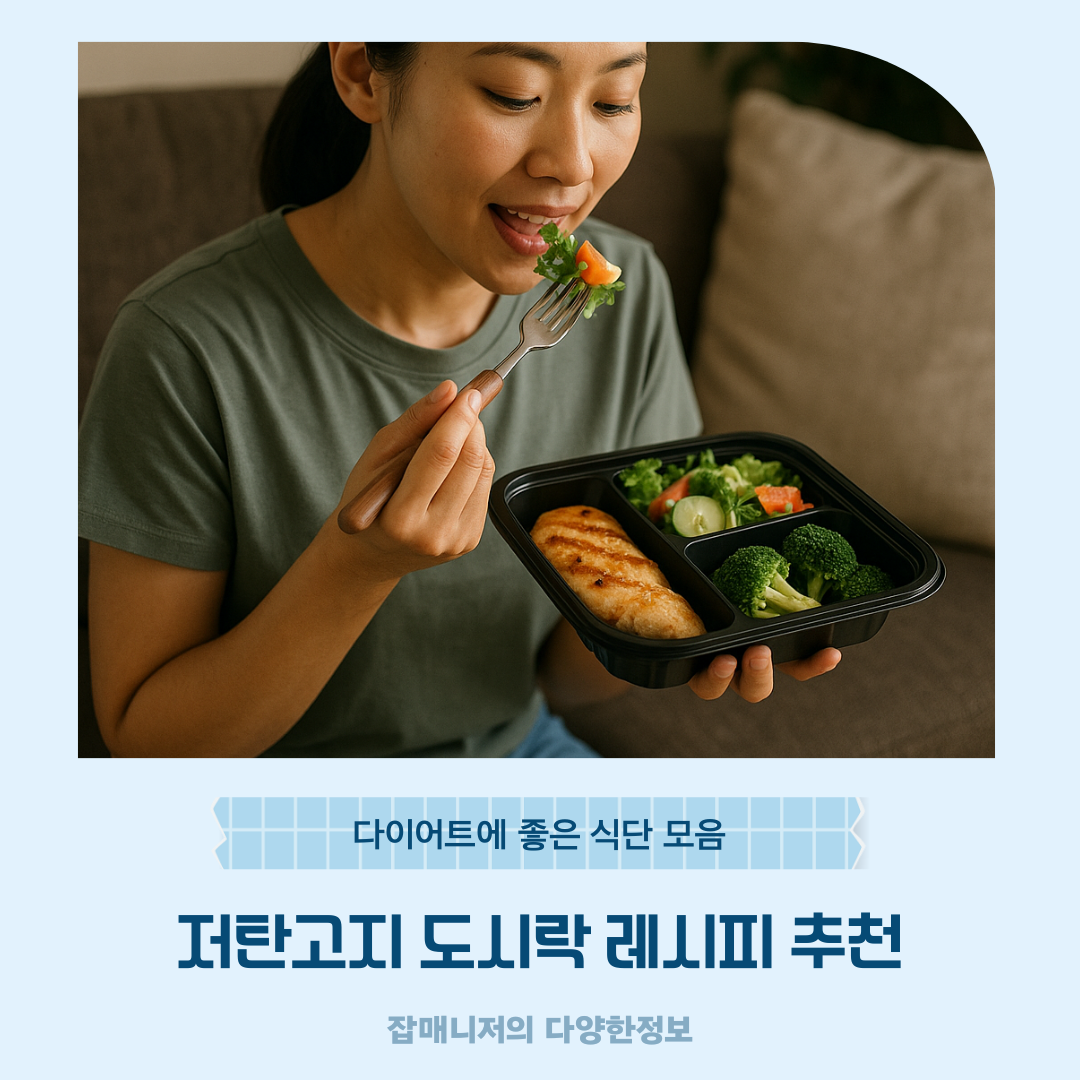 저탄고지 도시락 레시피 추천 ❘ 다이어트에 좋은 식단 모음