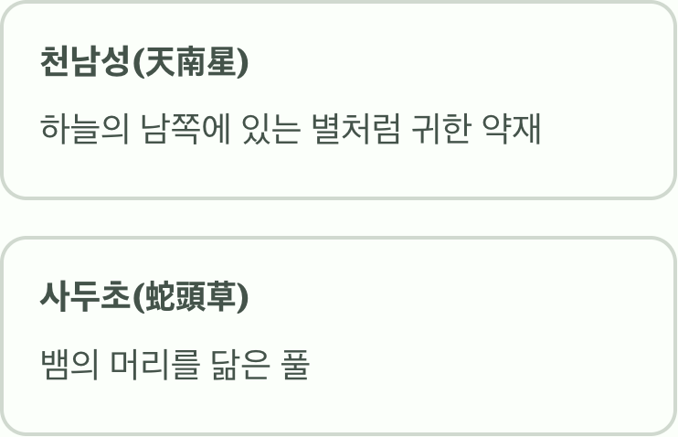 '하늘의 남쪽 별', 이름의 비밀