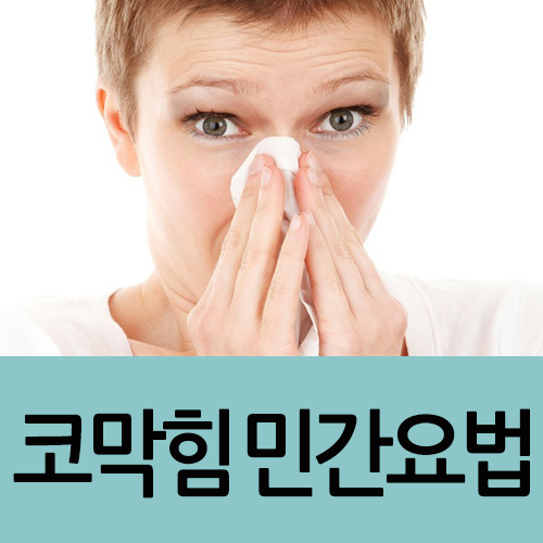 알레르기 비염 치료 민간요법