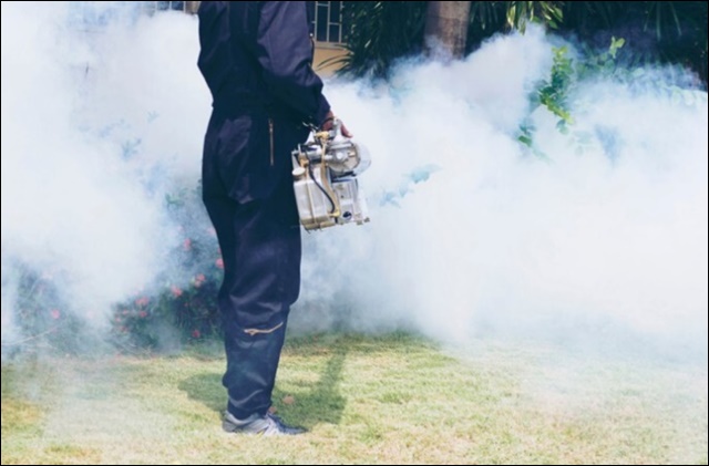 러브버그 방역신청 안내