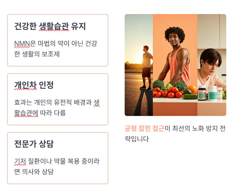 NMN 최종 점검!