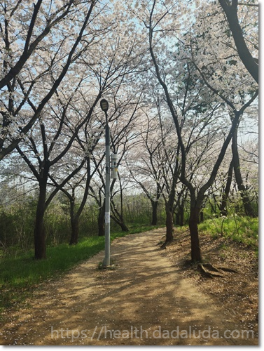 영종도 둘레길 1코스 건강백년길 주차장