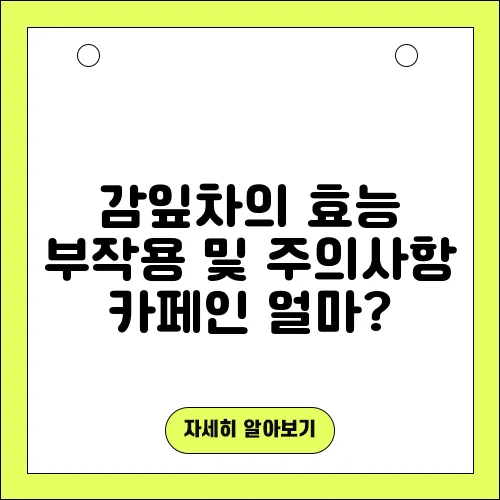 감잎차의 효능 부작용 및 주의사항 카페인 얼마?