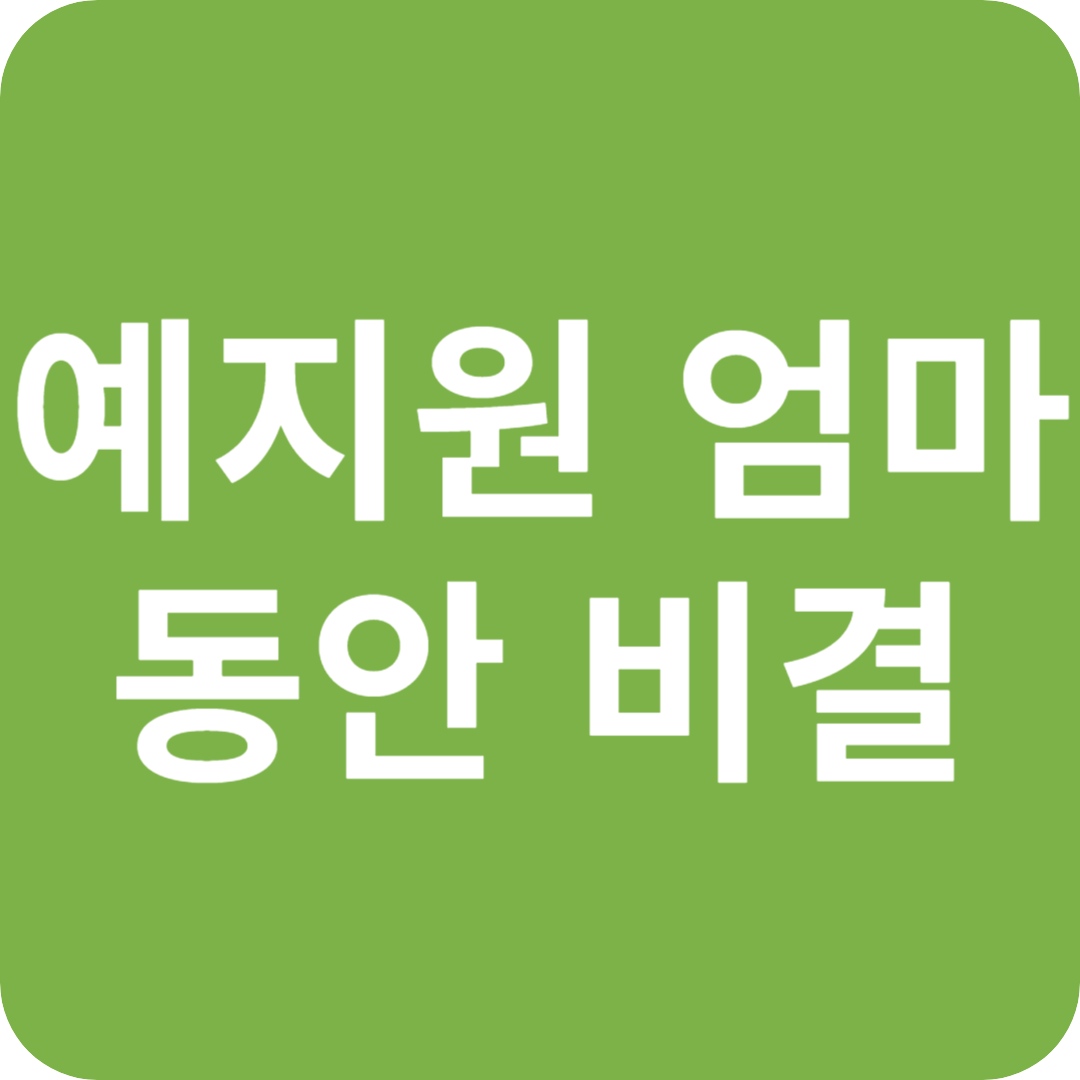 예지원 90세 엄마 놀라운 동안 비결