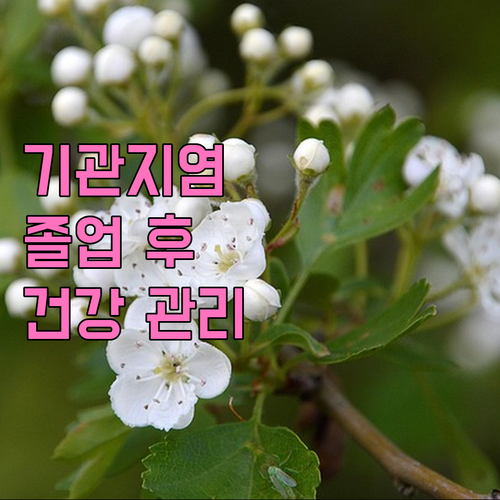 기관지염 졸업: 퇴원 후 관리로 재발..