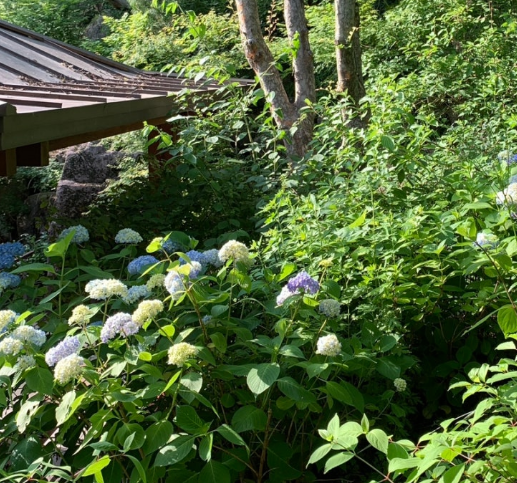 기초수급자 자격 요건&amp;#44; 신청 방법