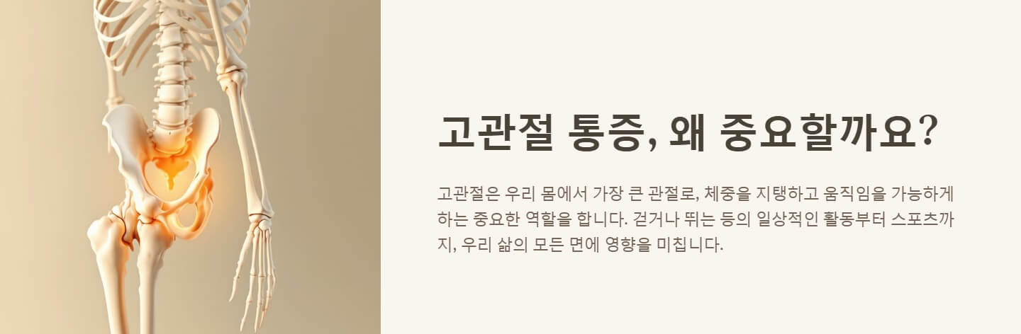 고관절 통증 원인 증상 스트레칭